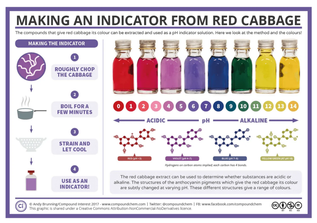 red cabbage ph indicator